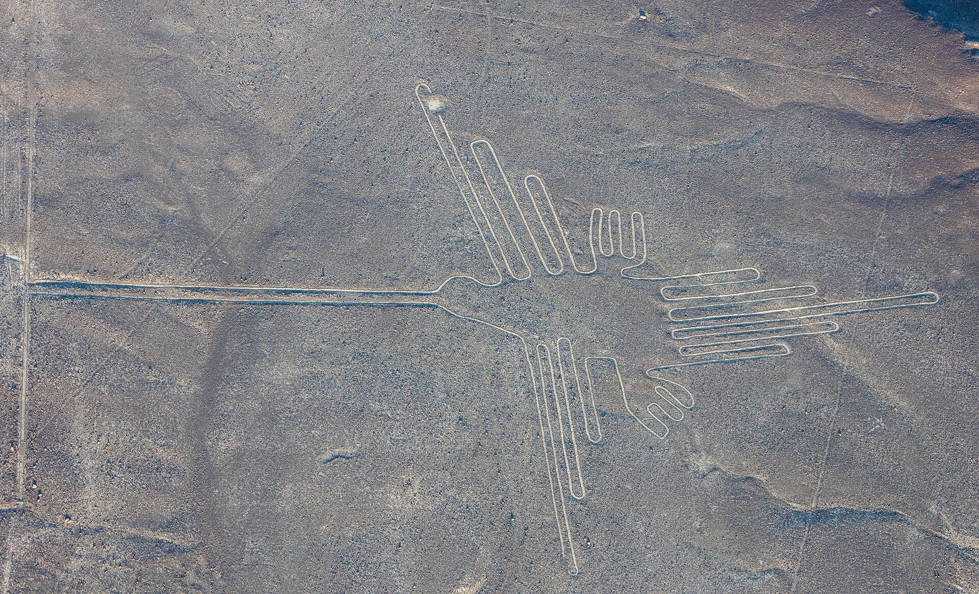 Vista aérea del colibrí de Nazca, una enorme figura de un pájaro dibujada con líneas claras en el suelo oscuro del desierto