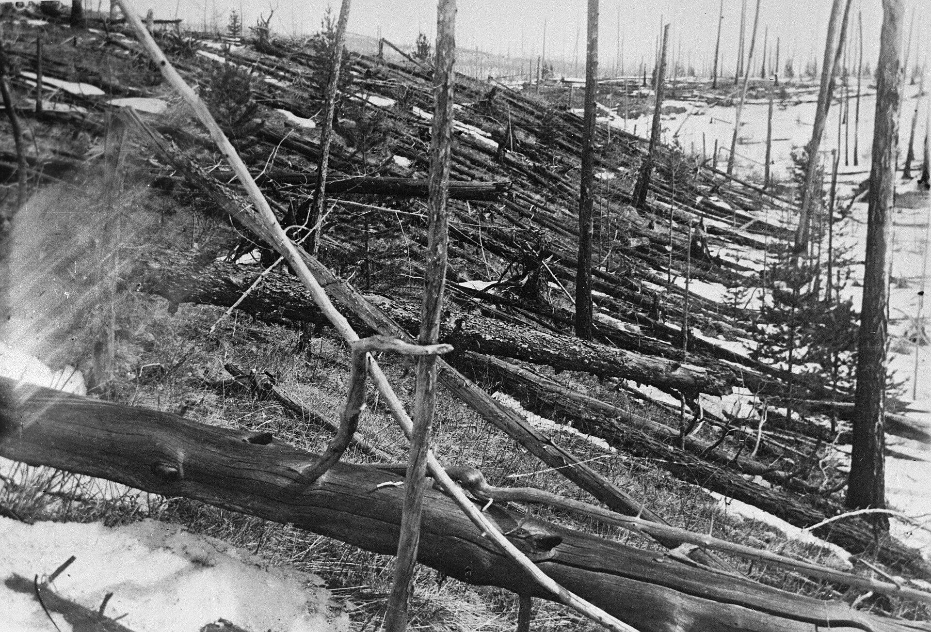 Fotografía en blanco y negro de un bosque con cientos de troncos tumbados en la misma dirección sobre la nieve